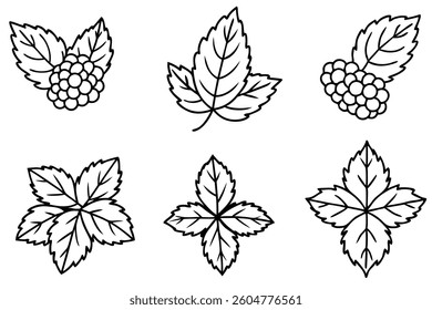 Blackberry Leaf Line Art Illustration for Creative Design