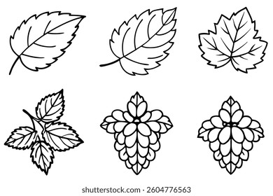 Blackberry Leaf Line Art Illustration for Creative Design