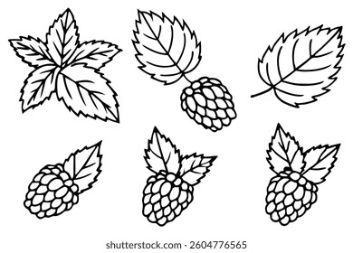 Blackberry Leaf Line Art Illustration for Creative Design