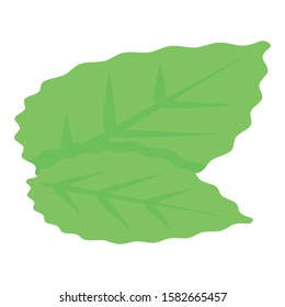 Blackberry leaves icon. Isometric of blackberry leaves vector icon for web design isolated on white background