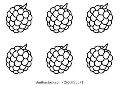blackberry line art minimal outline of juicy berries
