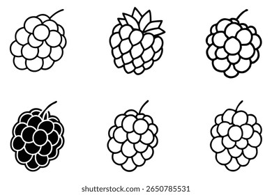blackberry line art natural berry illustration with stem