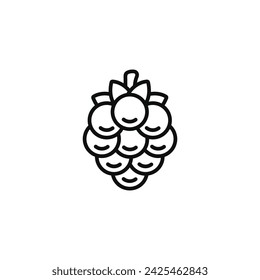 Icono de línea de Blackberry aislado sobre fondo blanco