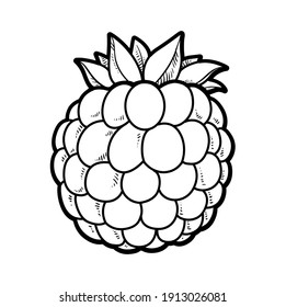 Blackberry linear drawing on white background
