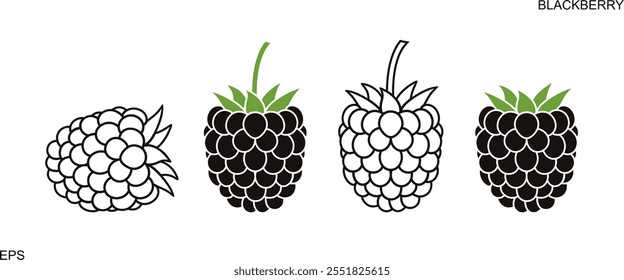 Blackberry logo. Isolated blackberry on white background