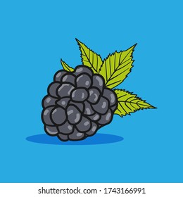 blackberry, made in vector and isolated, black line colored