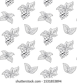 Blackberry and mint hand drawn black and white pattern black currant