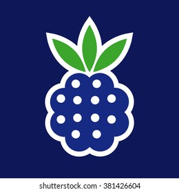 Blackberry on a colored background, vector illustration for food and beverage advertising, web design, print, package design, etc.