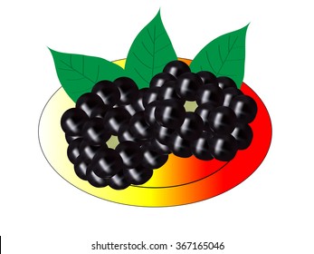blackberry on a plate isolated on white background 