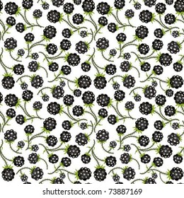 Blackberry on a white background