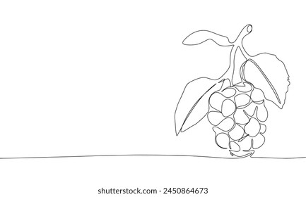 Blackberry una línea continua. Línea de arte Blackberry. Arte vectorial dibujado a mano.