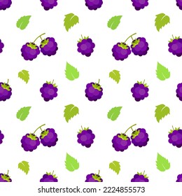 Blackberry pattern. Berries on a white background. Vector illustration.