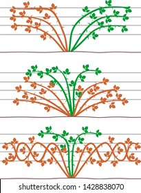 Blackberry plant trellis plans isolated on white background