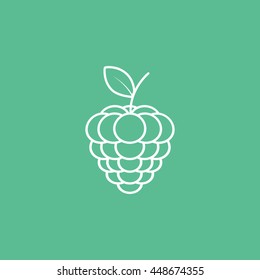 Blackberry Raspberries Line Icon On Green Background