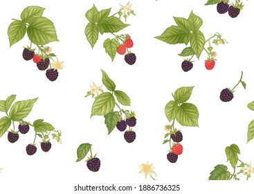 Blackberry. Ripe berries on branch. Seamless pattern, background. Graphic drawing, engraving style. Vector illustration