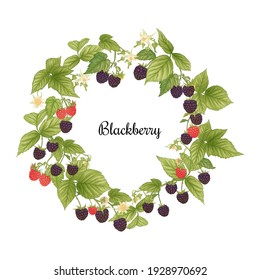 Blackberry. Ripe Berries On Branch. Clip Art, Element For Design. Graphic Drawing, Engraving Style. Vector Illustration.