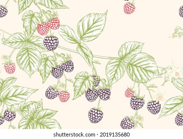 Blackberry. Ripe Berries On Branch. Seamless Pattern, Background. Graphic Drawing, Engraving Style. Vector Illustration On Soft Yellow Background..