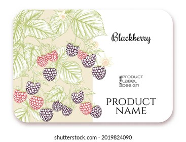 Blackberry. Ripe berries on branch. Template for product label, cosmetic packaging. Easy to edit. Graphic drawing, engraving style. Vector illustration..