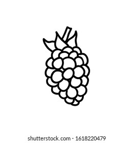 Blackberry simple vector icon, black outline. 