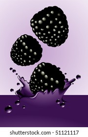 Blackberry splash. Vector.