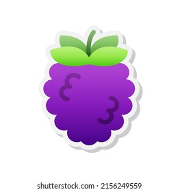 Blackberry sticker icon, Vector, Illustration.