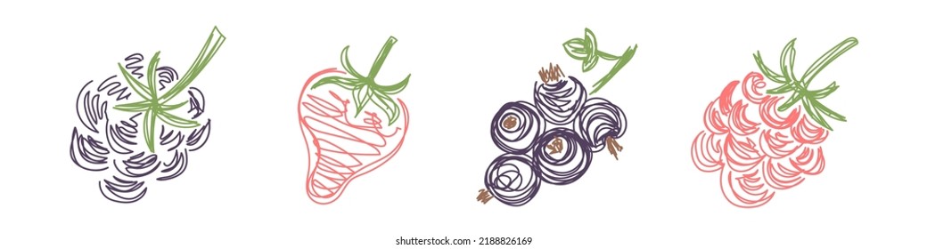 Blackberry, strawberry, currant and raspberry. Fruit sketch set. Hand drawn vector illustration. Pen or marker doodle