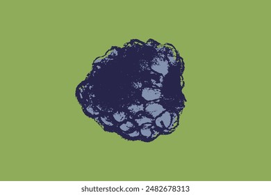 Blackberry symbol, black berry icon. Vector colorful mulberry and blackberries drawing. Black raspberry illustration for logo and emblem design. Floral sketch. Hand drawn botanical sign.