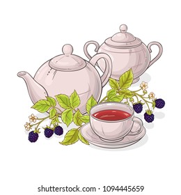 blackberry tea illustration