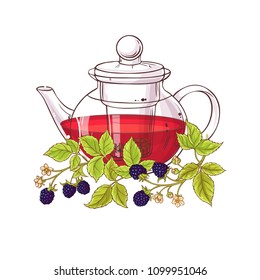 blackberry tea illustration