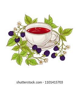 blackberry tea illustration