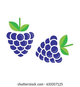 blackberry vector