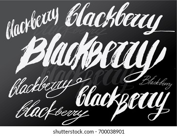 Blackberry. vector calligraphy