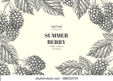 Blackberry. Vector Floral Background. Vintage Botanical Hand Drawn Illustration With Bramble Berries And Leaves