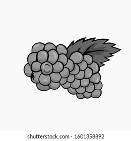 Blackberry Vector Greyscale mode for all purpose