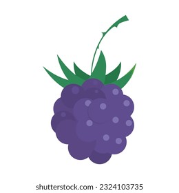 Blackberry vector illustration, blackberry flat icon