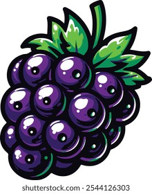 Blackberry Vector illustration healthy fruit 