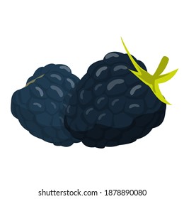 Blackberry vector isolated. Sweet fruit, juicy ripe food. Fresh natural product, vegetarian and vegan meal. Black berry with green leaf.