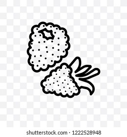Blackberry vector linear icon isolated on transparent background, Blackberry transparency concept can be used for web and mobile