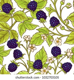 Blackberry Vector Pattern