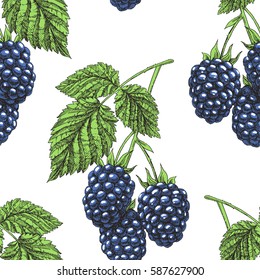 Blackberry. Vector seamless pattern. Vintage hand drawn illustration of bramble berries and leaves.