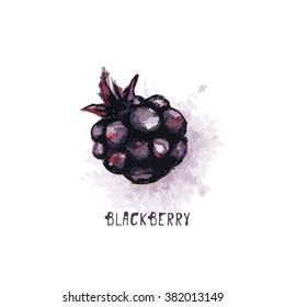 blackberry watercolor