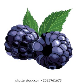 Blackberry whole with green tail lisolated on white background composition, vector illustration.