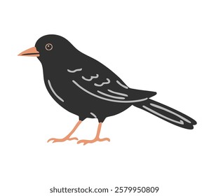 Blackbird with bright beak. Flying feathered thrush. Birds, nature and ornithology. Cartoon vector illustration isolated on white background