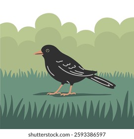 Blackbird with bright beak. Flying feathered thrush. Birds, nature and ornithology. Cartoon vector illustration