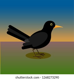 Blackbird, flat vector illustration.