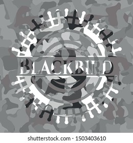 Blackbird on grey camouflage texture