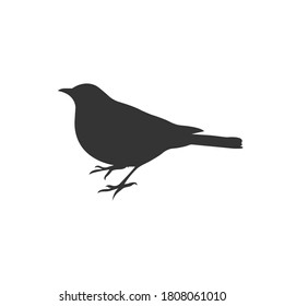 Blackbird silhouette vector on a white background