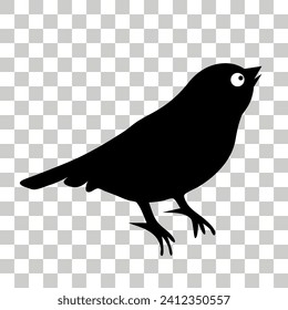 Blackbird, sparrow, crow, bird, canary, dove, bullfinch. Bird silhouettes. Eps 10