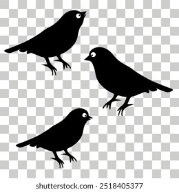 Blackbird, sparrow, crow, bird, canary, dove, bullfinch. Bird silhouettes. Eps 10