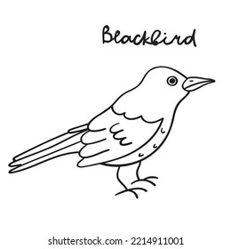 Blackbird. Ilustración dibujada a mano por vectores. Color negro.
